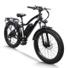 Electric mountain bike High-Performance 750W Motor 48V15.6Ah Battery 26x4.0 Tires OEM/ODM