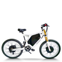 Dual Motor & Full Suspension 500W*2 BLDC 48V mountain e-bike OEM B2B Wholesale