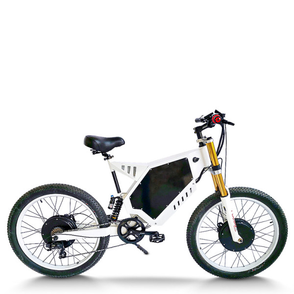 Dual Motor & Full Suspension 500W*2 BLDC 48V mountain e-bike OEM B2B Wholesale