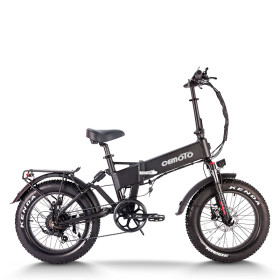 Folding eBike | 750W  Fat tire electric bike | long range ebike | AEB20AX