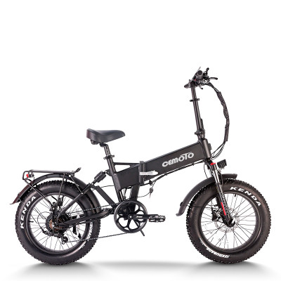 Fat tire Folding ebike Powerful & Portable 750W Motor 48V13Ah Battery 20x4.0 Tires OEM/ODM