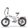 Folding eBike | 750W  Fat tire electric bike | long range ebike | AEB20AX