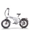 Folding eBike | 750W  Fat tire electric bike | long range ebike | AEB20AX in stock