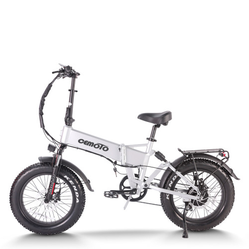 Folding eBike | 750W  Fat tire electric bike | long range ebike | AEB20AX