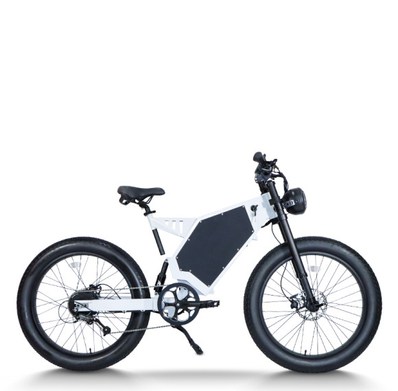 Dual Motor Fat Tire E-bike 48V 20Ah-40Ah Battery Shimano 7-Speed 30mph Max 100km Range OEM/ODM