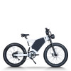 Dual Motor Fat Tire E-bike 48V 20Ah-40Ah Battery Shimano 7-Speed 30mph Max 100km Range OEM/ODM