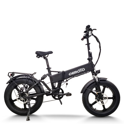 Fat Tire E Bike | 750W e bike folding bike | Urban Electric Bicycle | AEB20AS