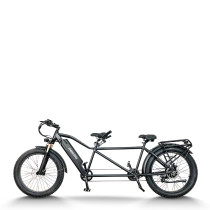 Electric Tandem Bike | 500-1000W  Fat Tire Tandem EBike AEB28T