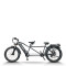 Electric Tandem Bike | 500-1000W  Fat Tire Tandem EBike AEB28T