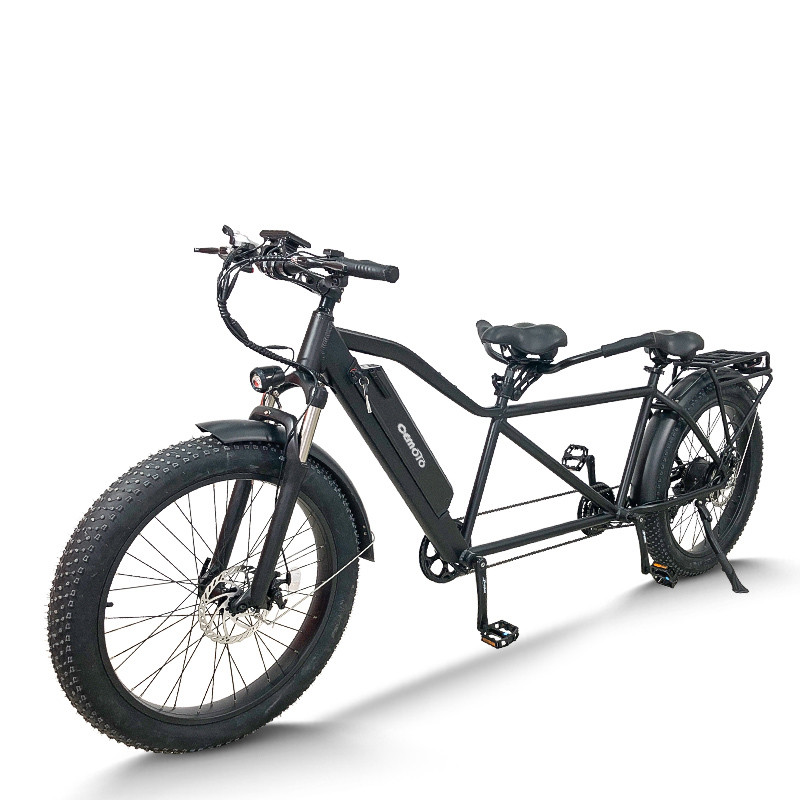 Electric Tandem Bike