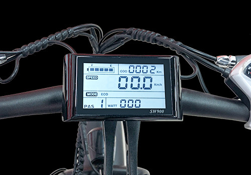 Electric Tandem Bike
