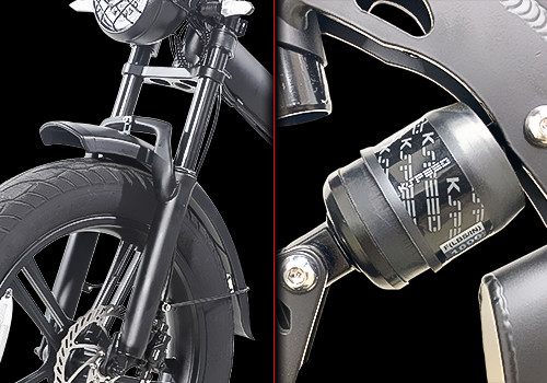Fat Tire Folding Ebike