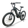 Fat Tire electric bike | 750W off road ebikes | mountain ebike AEB52X