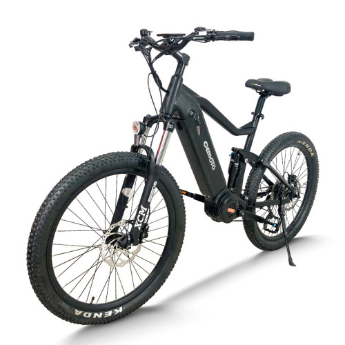 Fat Tire electric bike | 750W off road ebikes | mountain ebike AEB52X