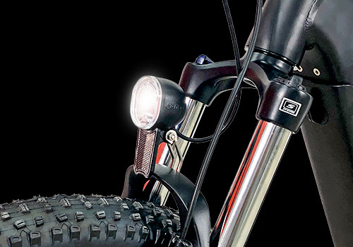  Fat Tire E  Mountain Bike
