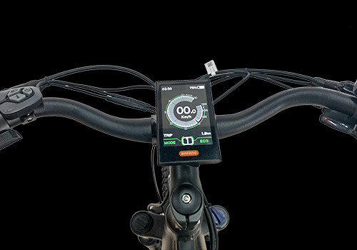  Fat Tire E  Mountain Bike