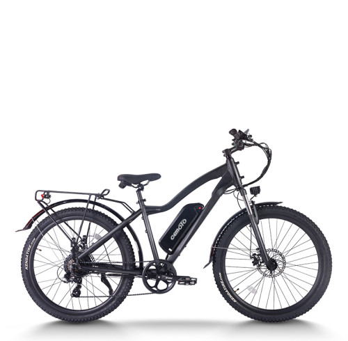 mountain ebike| 48V 20AH MTB ebike  | mountain electric bike AEB28 US in stock