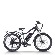 mountain ebike| 48V 20AH MTB ebike  | mountain electric bike AEB28 US in stock