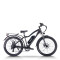 mountain ebike| 48V 20AH MTB ebike  | mountain electric bike AEB28 US in stock