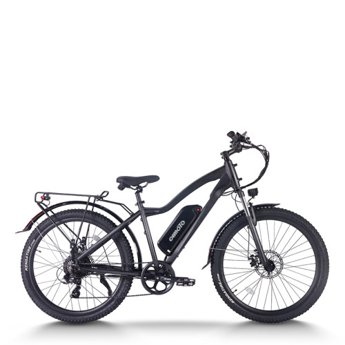 mountain ebike| 48V 20AH MTB ebike  | mountain electric bike AEB28