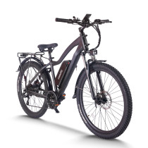 mountain ebike| 48V 20AH MTB ebike  | mountain electric bike AEB28 US in stock