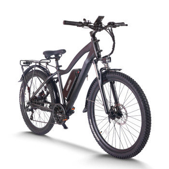 mountain ebike| 48V 20AH MTB ebike  | mountain electric bike AEB28 US in stock