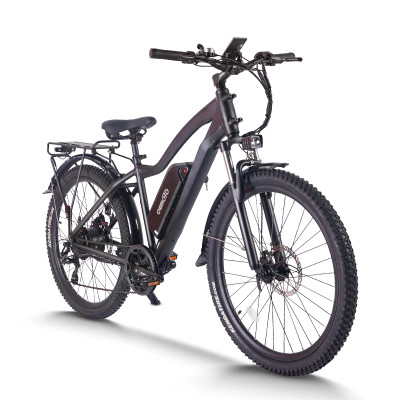 mountain ebike| 48V 20AH MTB ebike  | mountain electric bike AEB28