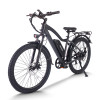 mountain ebike| 48V 20AH MTB ebike  | mountain electric bike AEB28