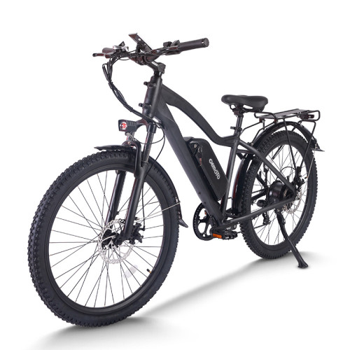 mountain ebike| 48V 20AH MTB ebike  | mountain electric bike AEB28