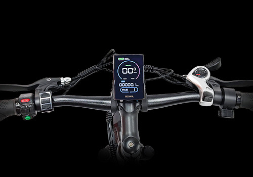  E  Mountain Bike