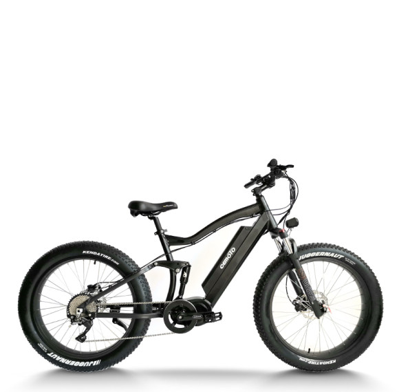 Fat Tire e-bike | 750W off road ebikes | mountain electric bike AEB33A