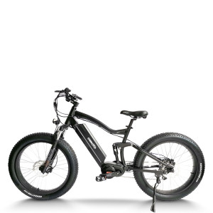 Fat Tire e-bike | 750W off road ebikes | mountain electric bike AEB33A