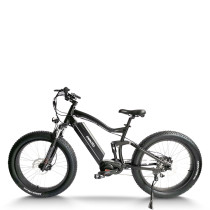 Fat Tire e-bike | 750W off road ebikes | mountain electric bike AEB33A