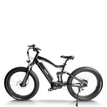 Fat Tire e-bike | 750W off road ebikes | mountain electric bike AEB33A