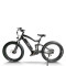 Fat Tire e-bike | 750W off road ebikes | mountain electric bike AEB33A