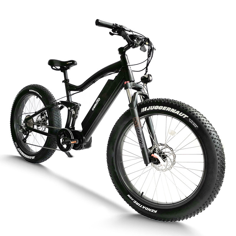 Fat Tire E  Mountain Bike