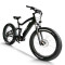 Fat Tire e-bike | 750W off road ebikes | mountain electric bike AEB33A