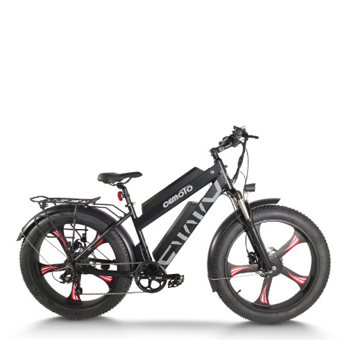 Dual Motor Fat Tire ebike | 500W*2 Dual Battery mountain ebike AEB28MX