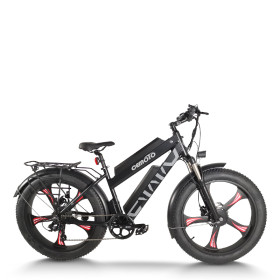 Dual Motor Fat Tire ebike | 500W*2 Dual Battery mountain ebike AEB28MX