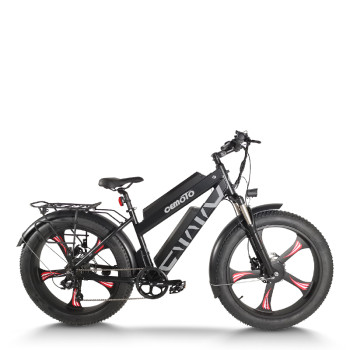 Dual Motor Fat Tire ebike | 500W*2 Dual Battery mountain ebike AEB28MX