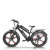 Dual Motor Fat Tire ebike | 500W*2 Dual Battery mountain ebike AEB28MX