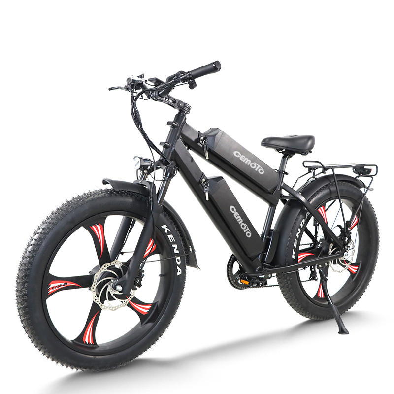 Fat Tire Dual Motor Ebike