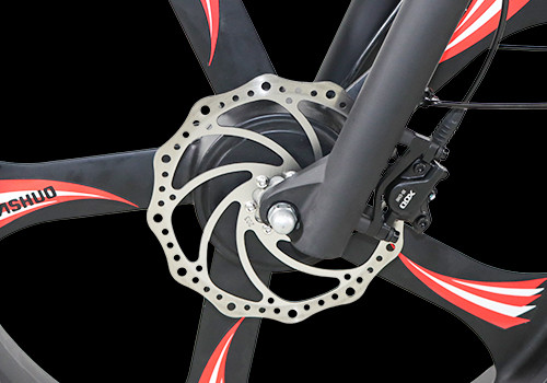   Fat Tire Dual Motor Ebike