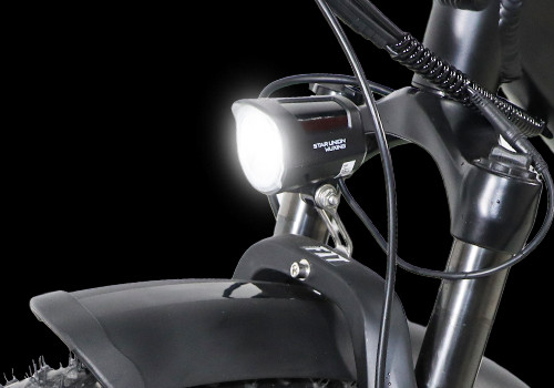   Fat Tire Dual Motor Battery