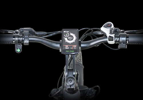   Fat Tire Dual Motor Battery