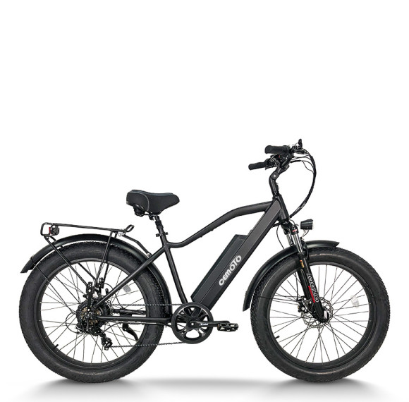 Fat Tire E Bike | 750W e mountain bike | mountain electric bike AEB28A