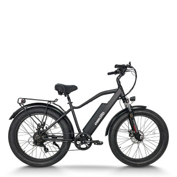 Fat Tire E Bike | 750W e mountain bike | mountain electric bike AEB28A