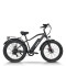 Fat Tire E Bike | 750W e mountain bike | mountain electric bike AEB28A