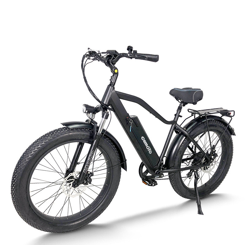 Fat Tire E Mountain bike