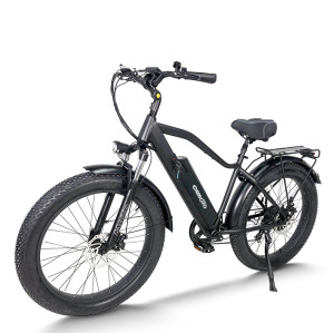 Fat Tire E Bike | 750W e mountain bike | mountain electric bike AEB28A